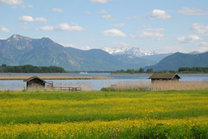 Chiemseeblick